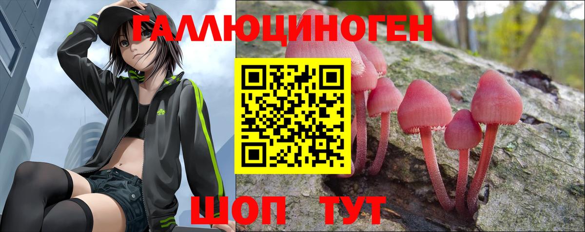 Псилоцибиновые грибы мухоморы Волжский