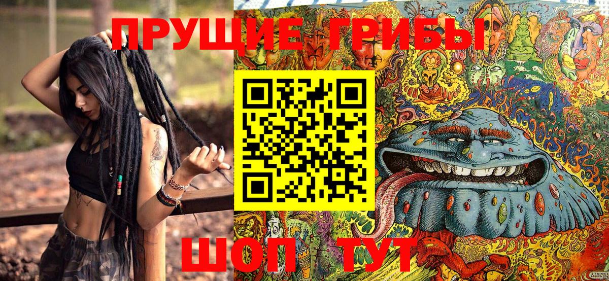 Волжский  Псилоцибиновые грибы Psilocybine cubensis  Вход с VPN  Галлюциногенные грибы Magic Shrooms 